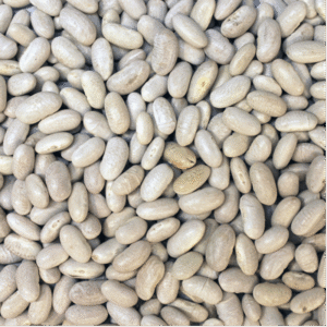 Cannellini Beans - Organic