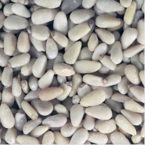 Pine Kernels - Organic