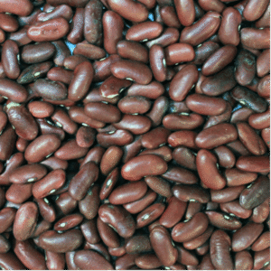 Red Kidney Beans - Organic