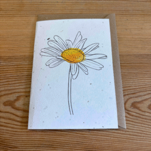 Plantable card - Daisy