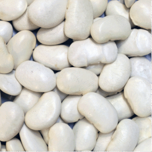Butter beans - Organic