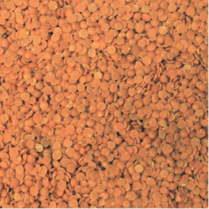 Red Lentils - Organic