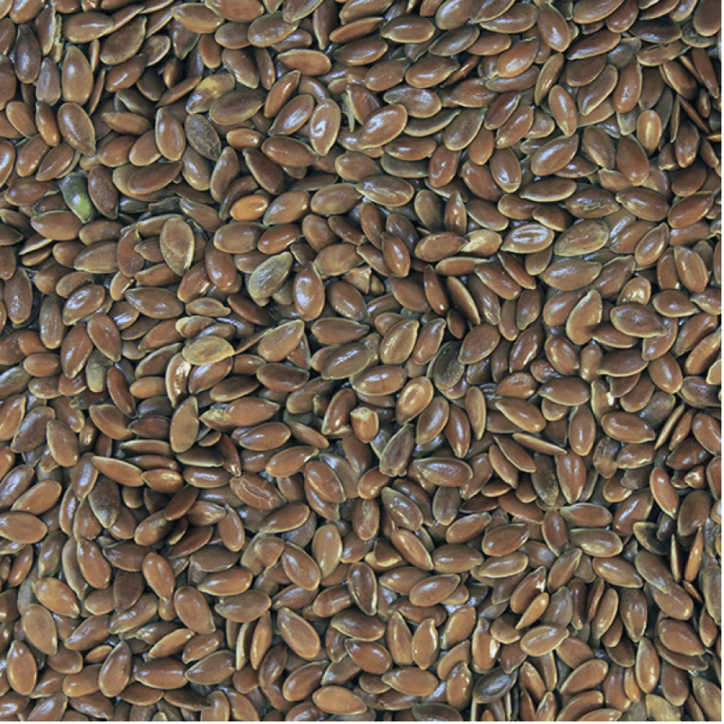Linseed Brown - Organic