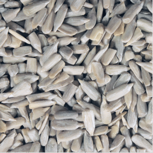 Sunflower Seeds - Organic