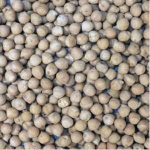 Chickpeas - Organic