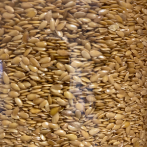 Linseed Gold - Organic
